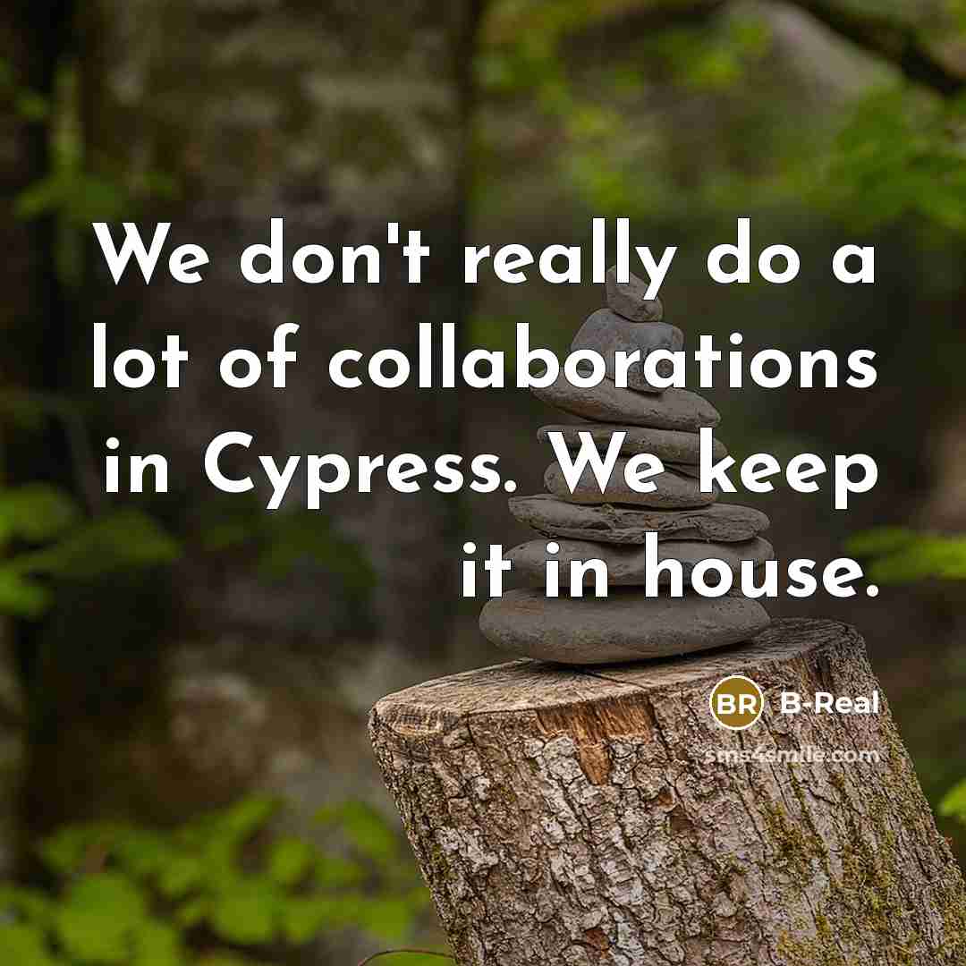 “We don't really do a lot of collaborations in Cypress.…” quote by B-Real