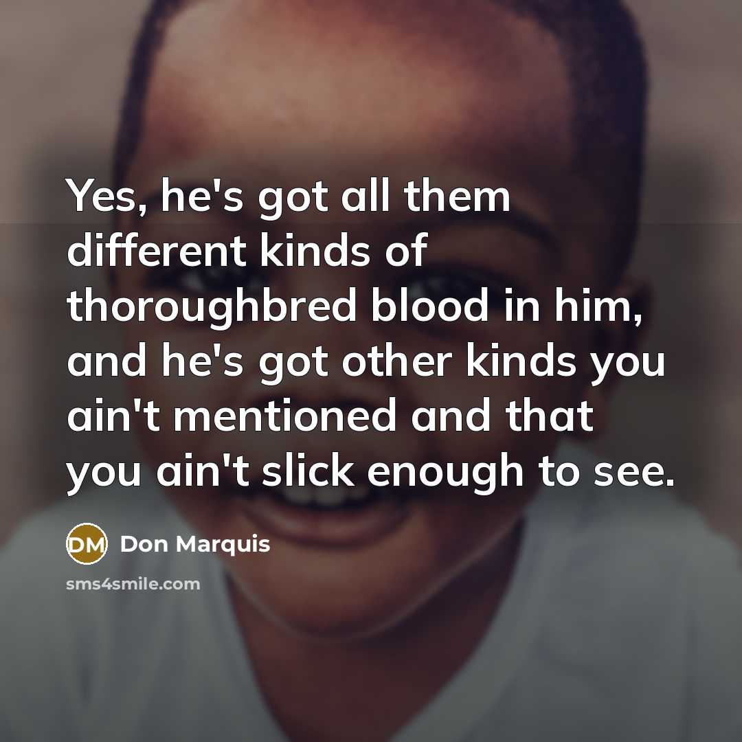 “Yes, he's got all them different kinds of thoroughbred blood…” quote by Don Marquis
