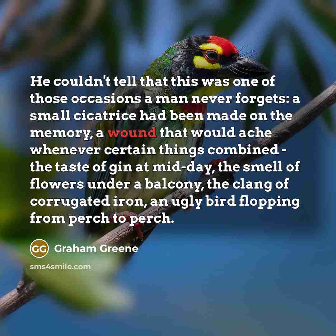 “He couldn't tell that this was one of those occasions…” quote by Graham Greene