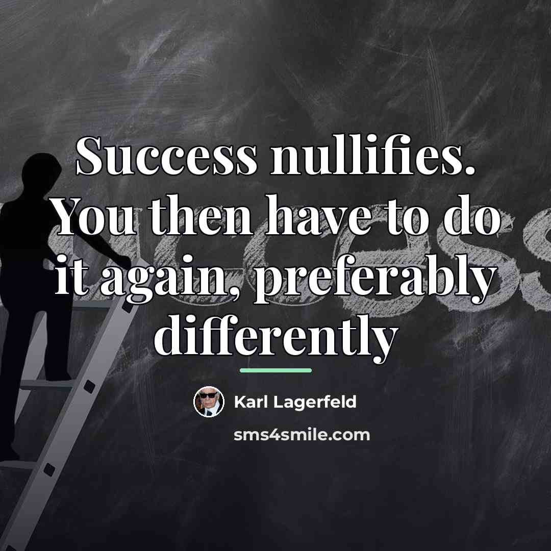 “Success nullifies. You then have to do it again, preferably…” quote by Karl Lagerfeld