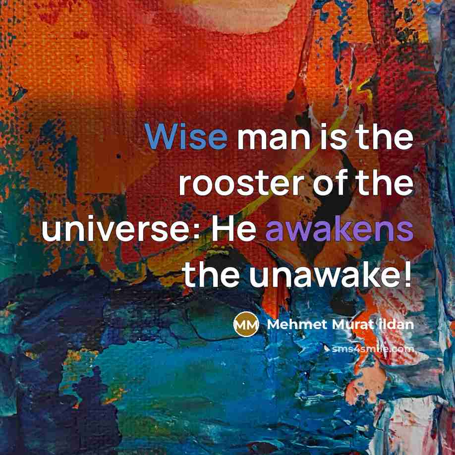 “Wise man is the rooster of the universe: He awakens the unawake!” quote by Mehmet Murat Ildan