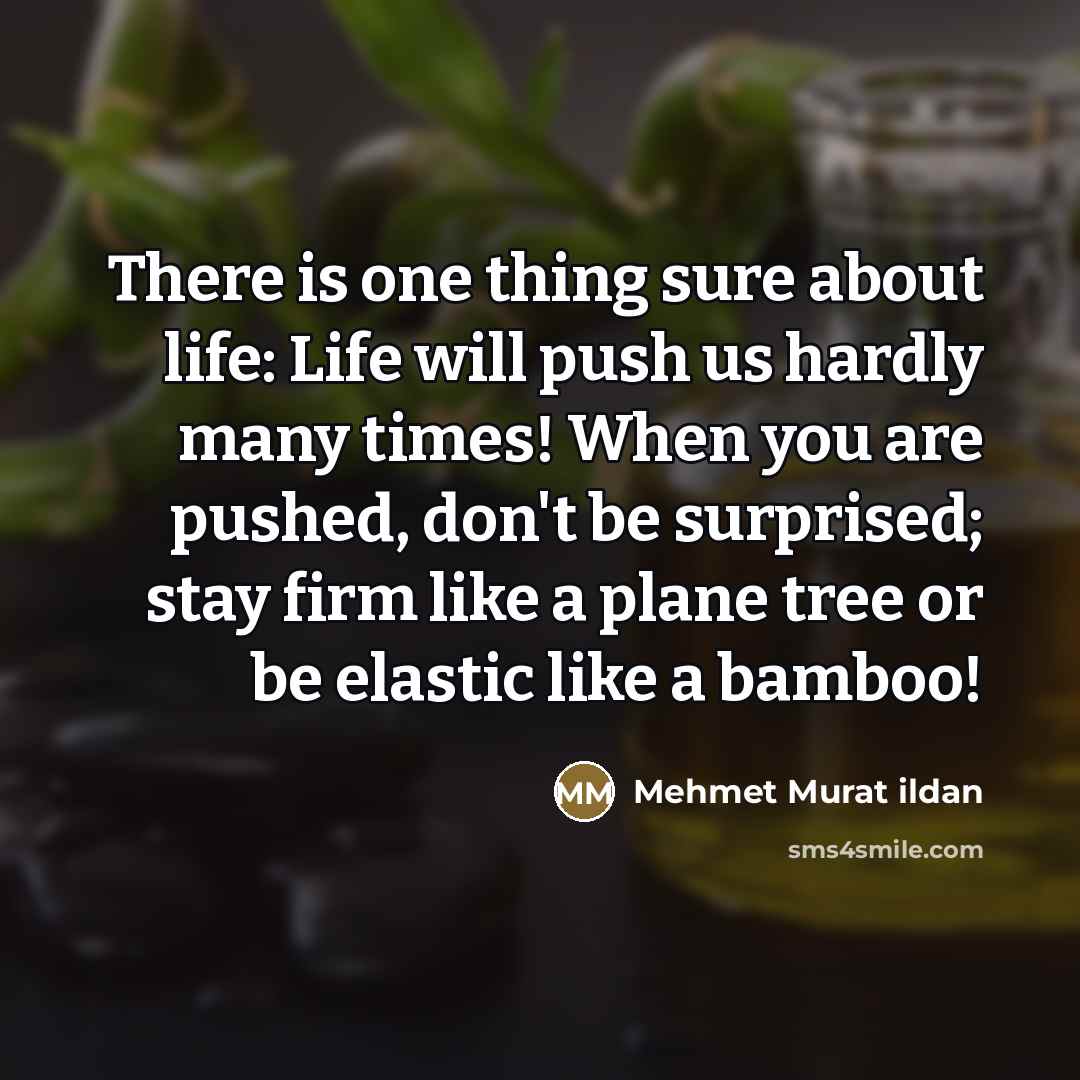“There is one thing sure about life: Life will push…” quote by Mehmet Murat Ildan