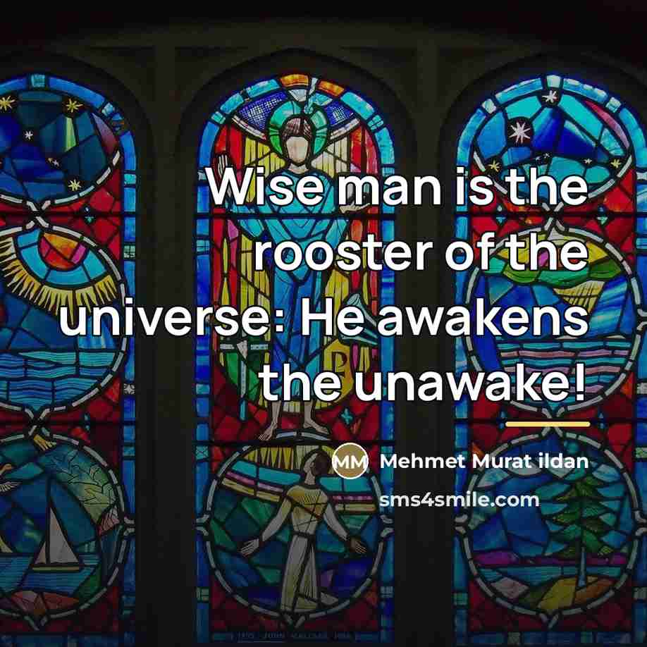 “Wise man is the rooster of the universe: He awakens…” quote by Mehmet Murat Ildan
