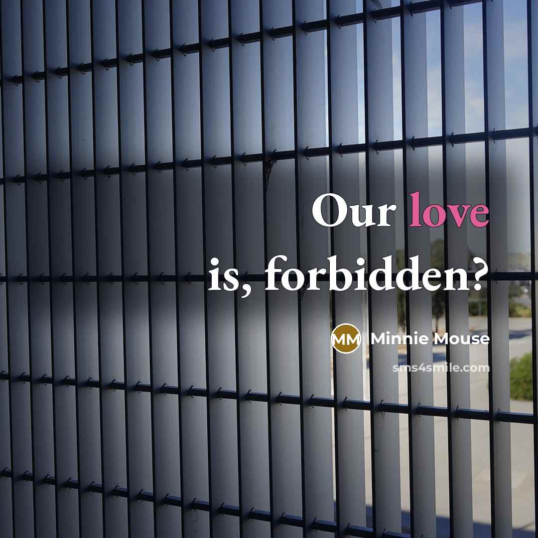 “Our love is, forbidden?” quote by Minnie Mouse