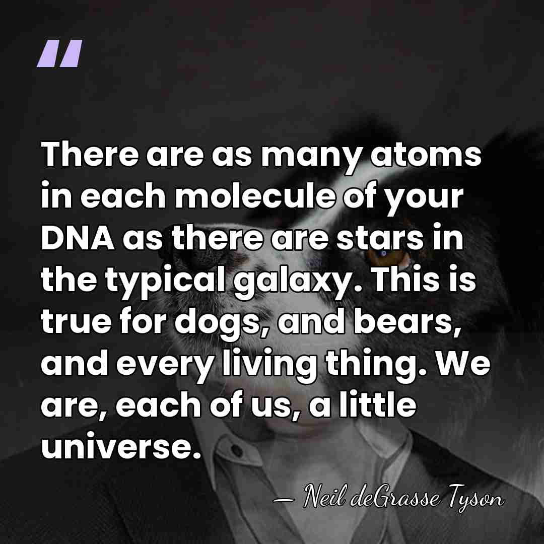 There are as many atoms in each molecule of your DNA as&hellip; - Neil deGrasse Tyson