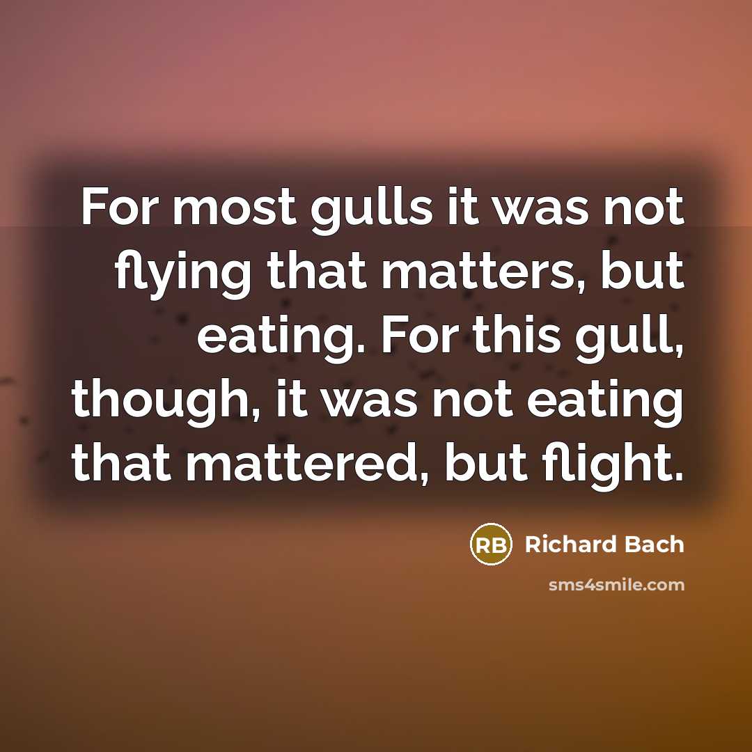“For most gulls it was not flying that matters, but…” quote by Richard Bach