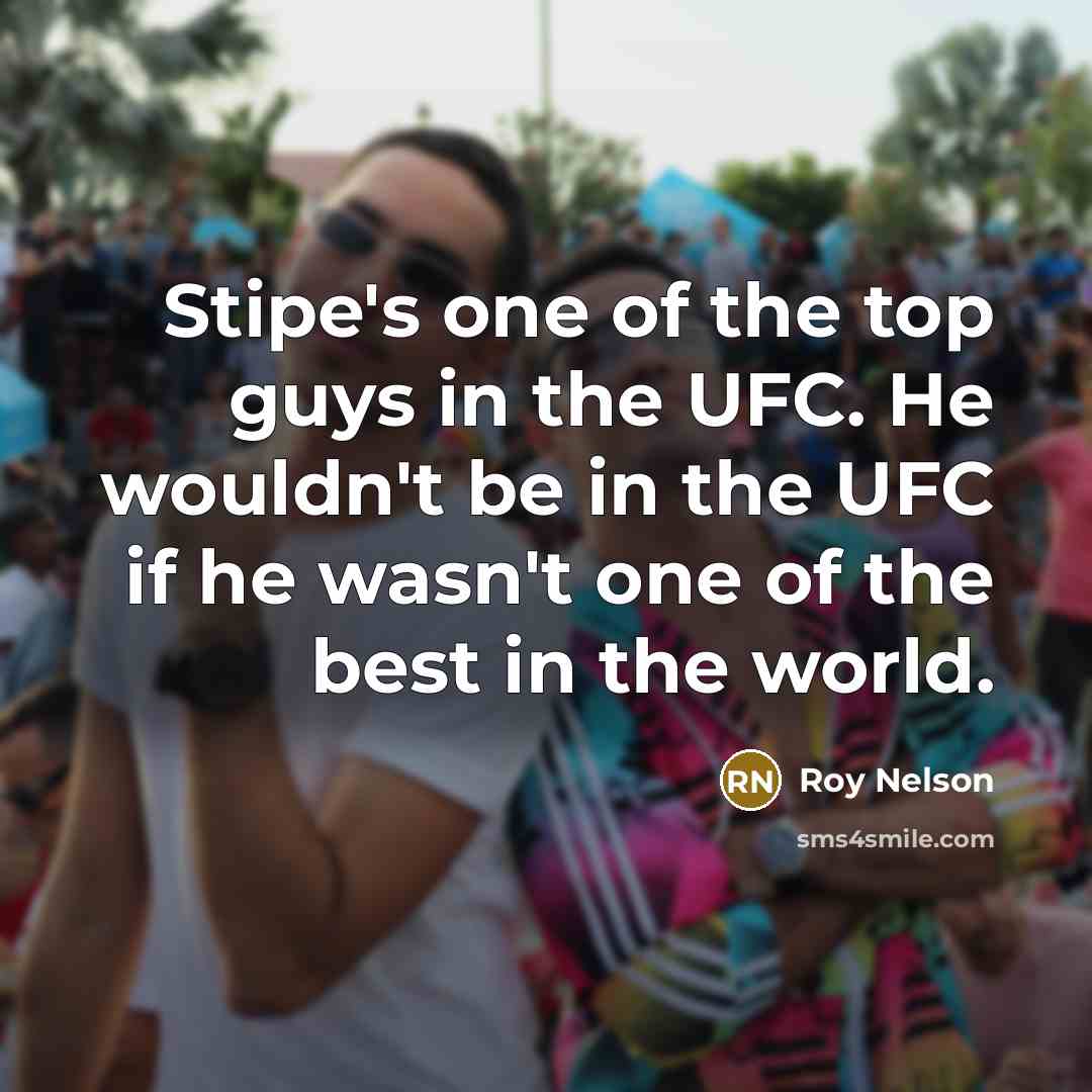 “Stipe's one of the top guys in the UFC. He…” quote by Roy Nelson