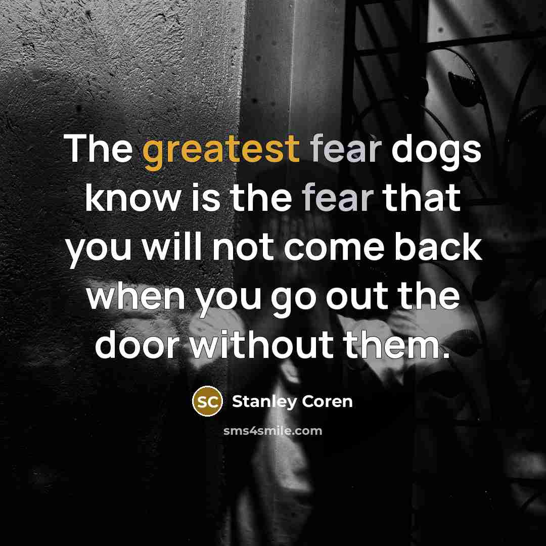“The greatest fear dogs know is the fear that you…” quote by Stanley Coren