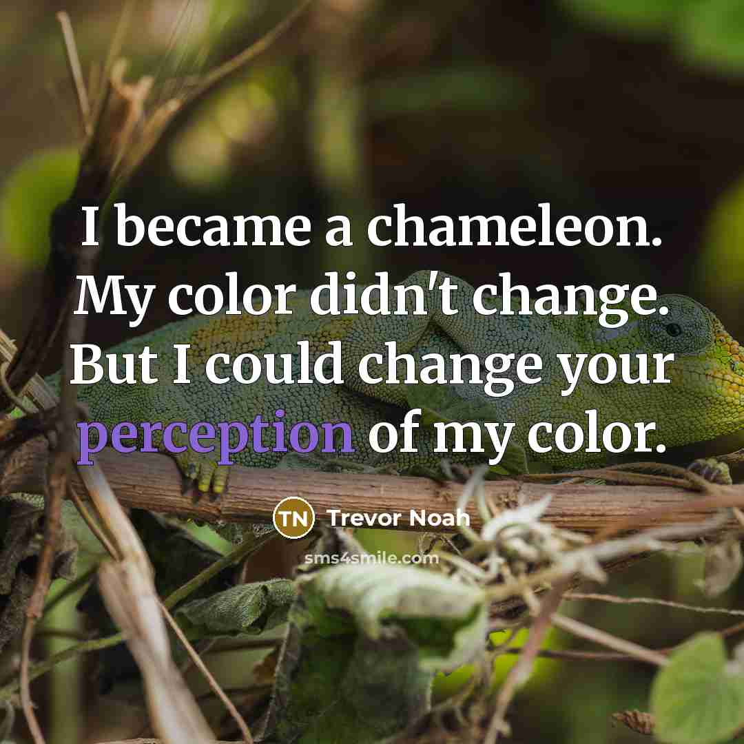 “I became a chameleon. My color didn't change. But I…” quote by Trevor Noah