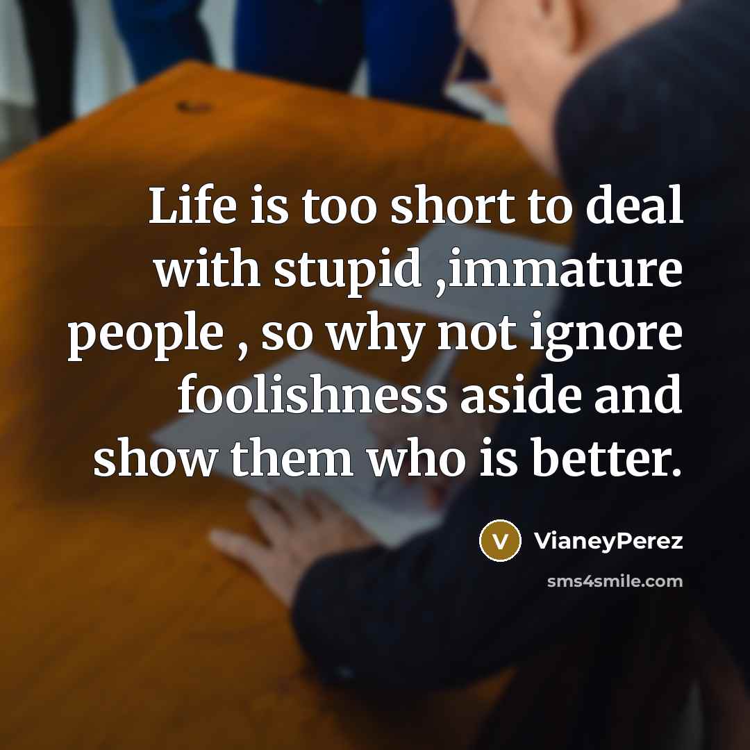 “Life is too short to deal with stupid ,immature people , so why not ignore foolishness aside and show them who is better.” quote by VianeyPerez