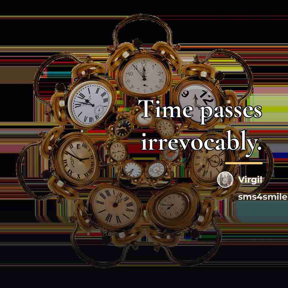 “Time passes irrevocably.…” quote by Virgil