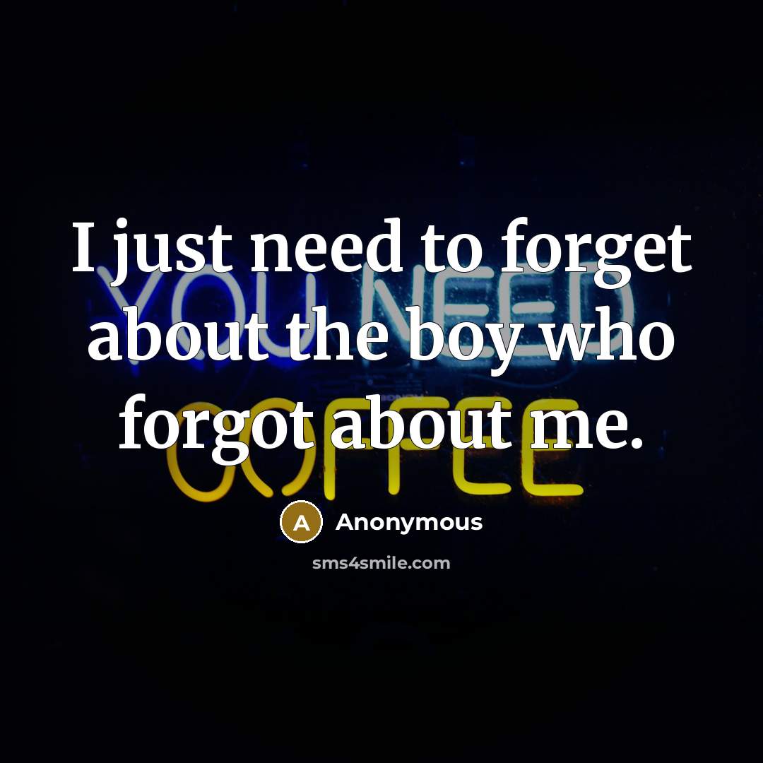“I just need to forget about the boy who forgot…” quote by Anonymous