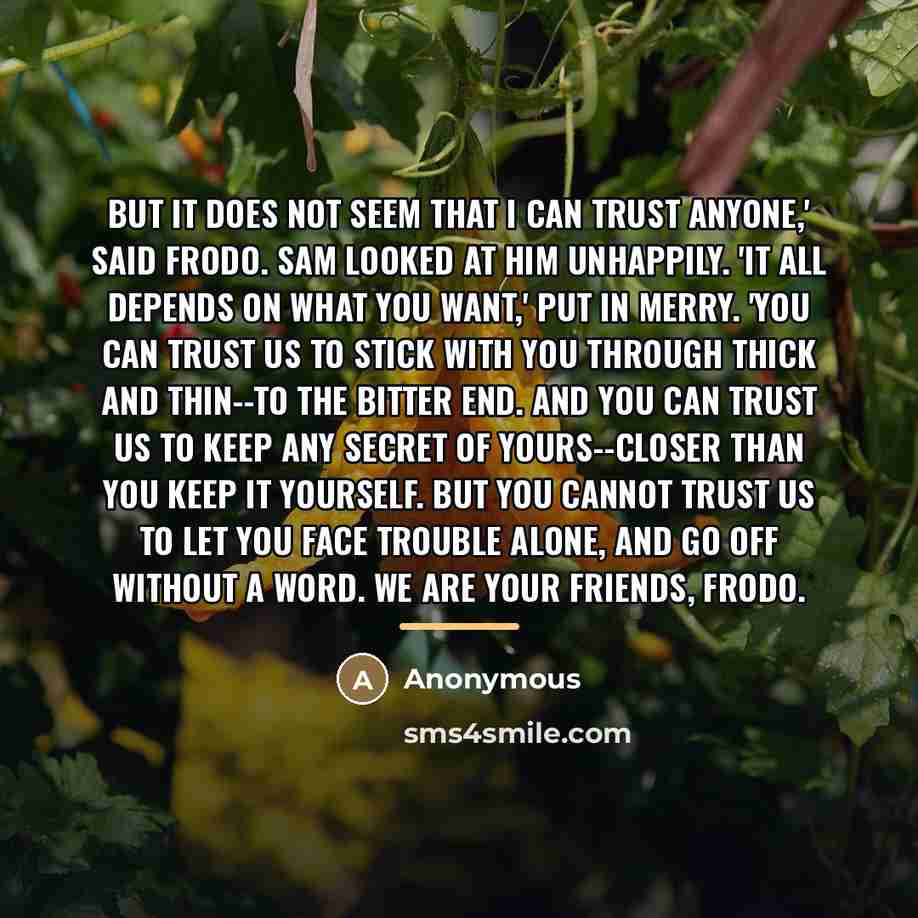 “But it does not seem that I can trust anyone,'…” quote by Anonymous