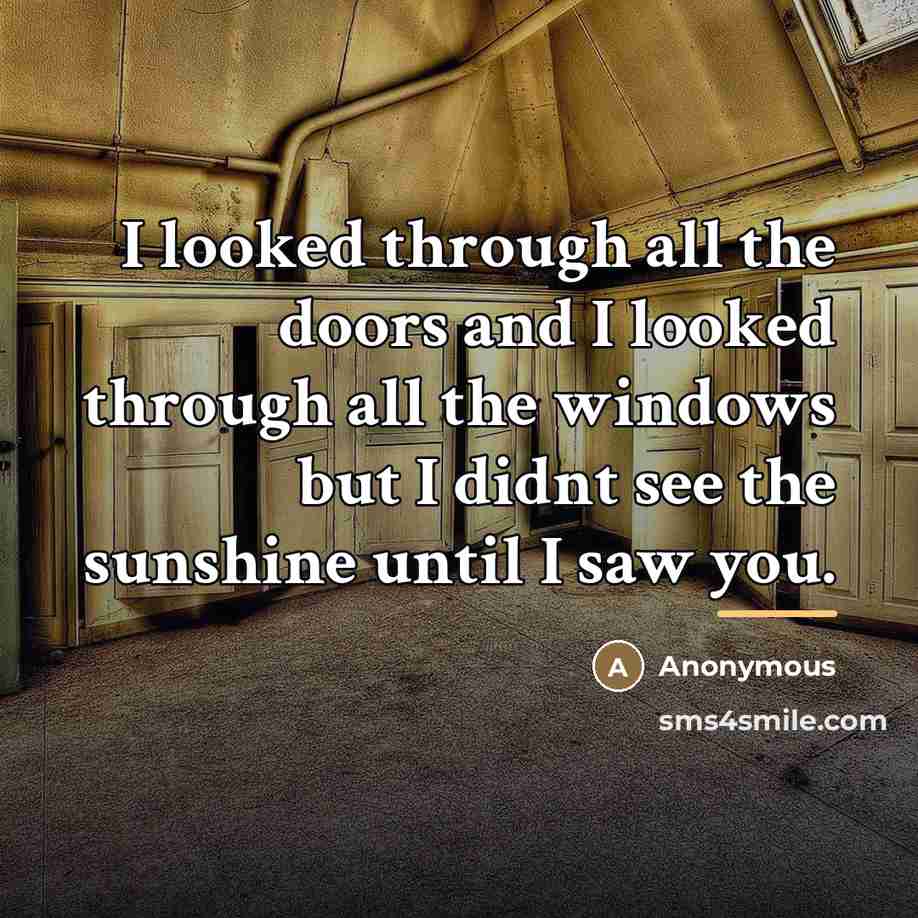 “I looked through all the doors and I looked through…” quote by Anonymous