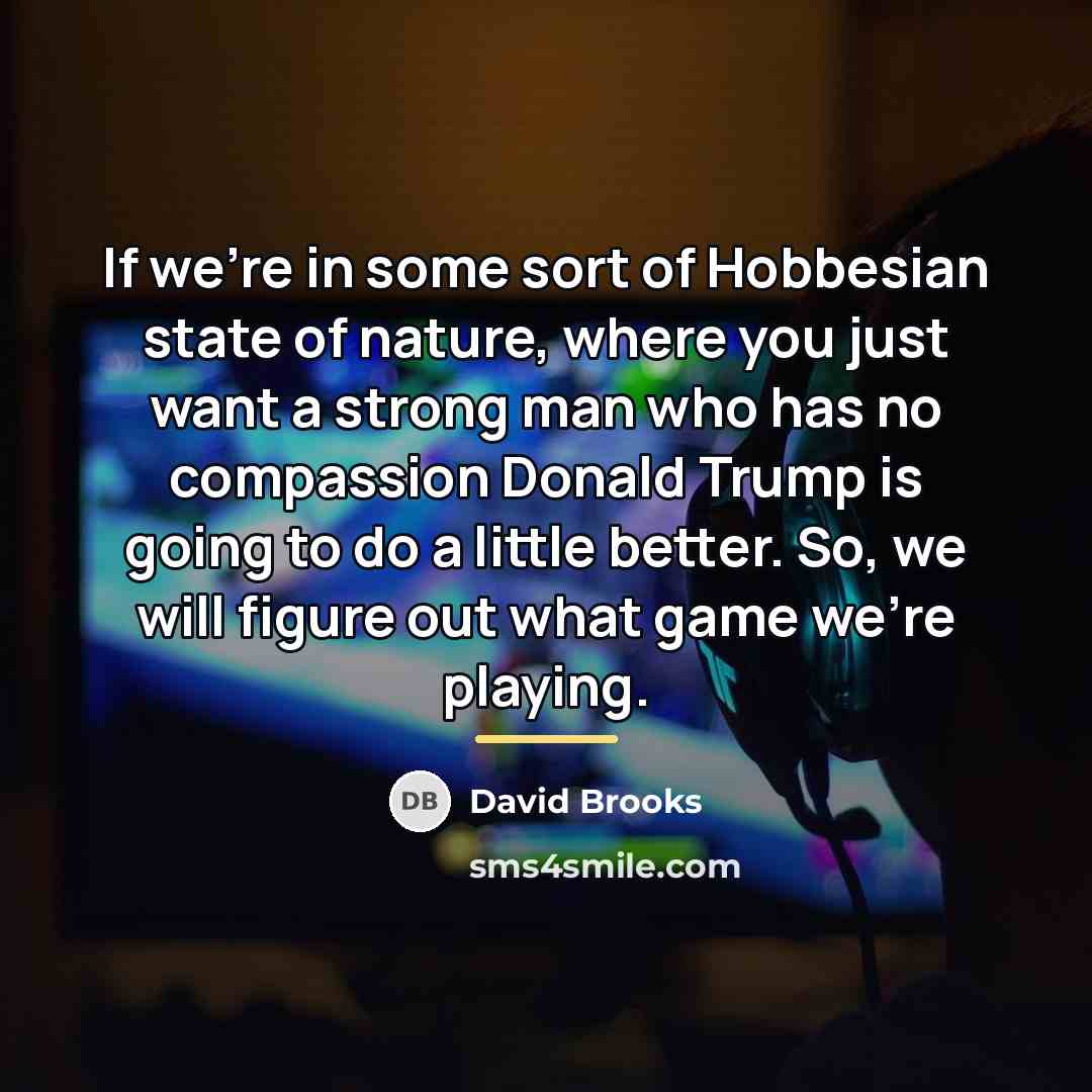 “If we're in some sort of Hobbesian state of nature,…” quote by David Brooks