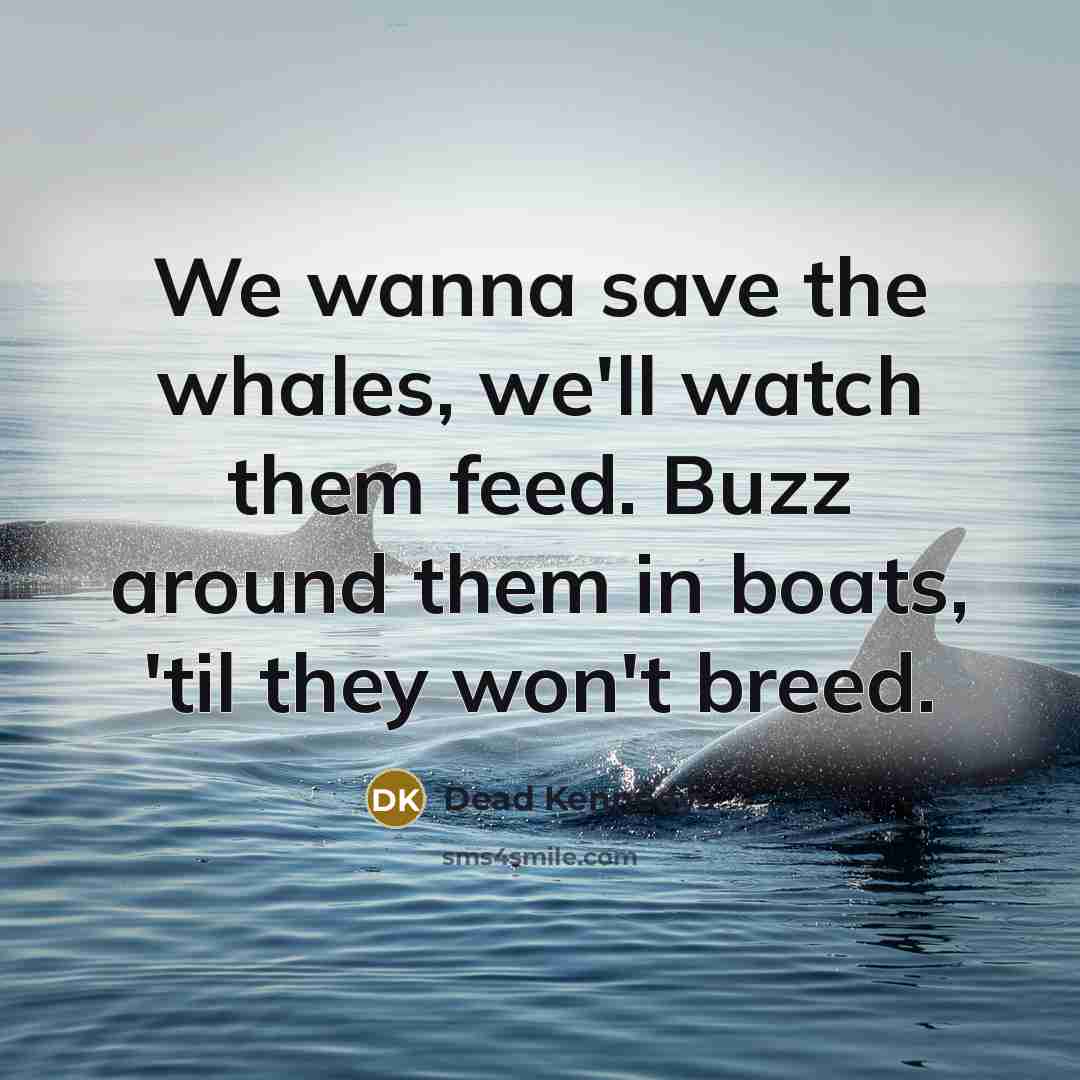“We wanna save the whales, we'll watch them feed. Buzz…” quote by Dead Kennedys
