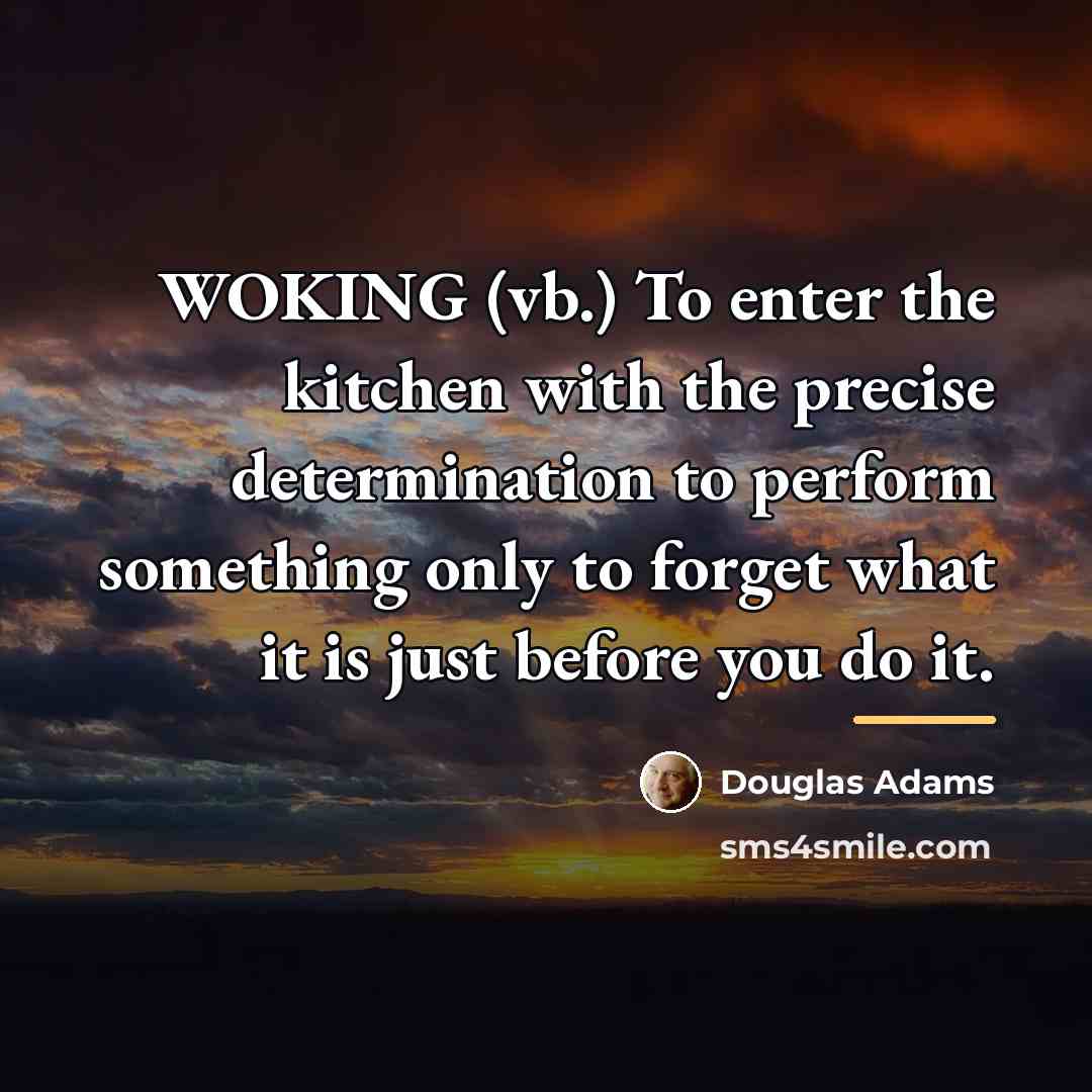 “WOKING (vb.) To enter the kitchen with the precise determination…” quote by Douglas Adams