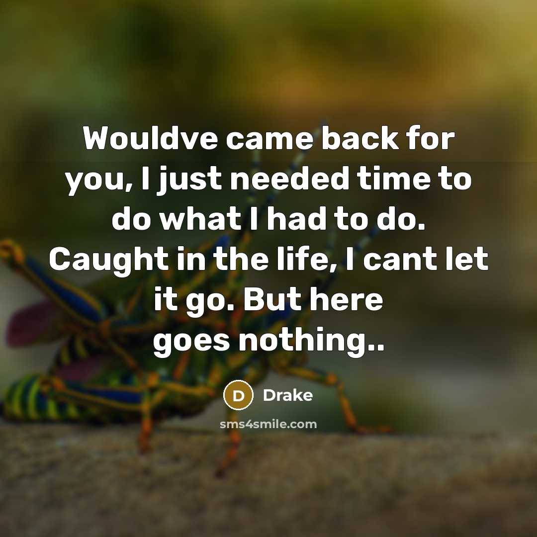 “Wouldve came back for you, I just needed time to do what I had to do. Caught in the life, I cant let it go. But here goes nothing..” quote by Drake