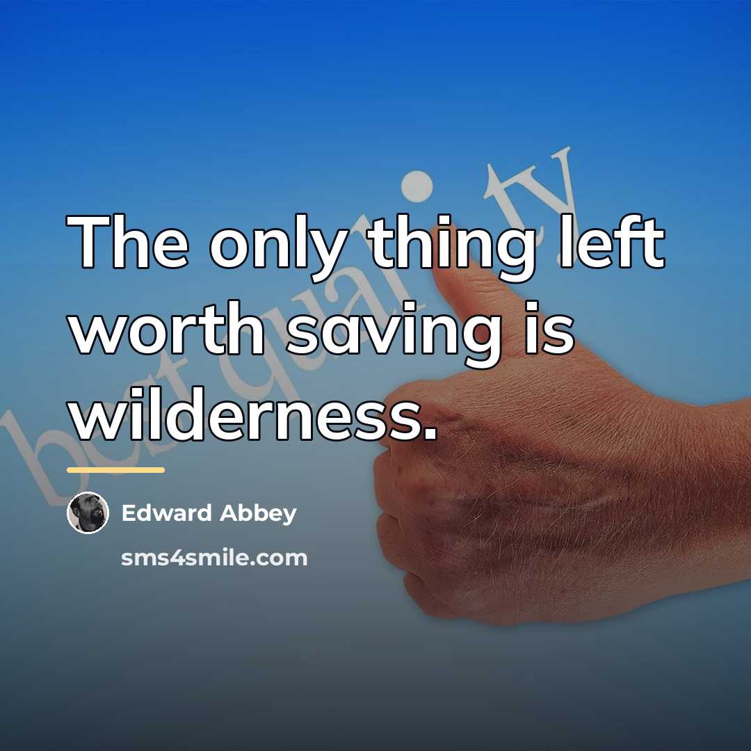 “The only thing left worth saving is wilderness.…” quote by Edward Abbey