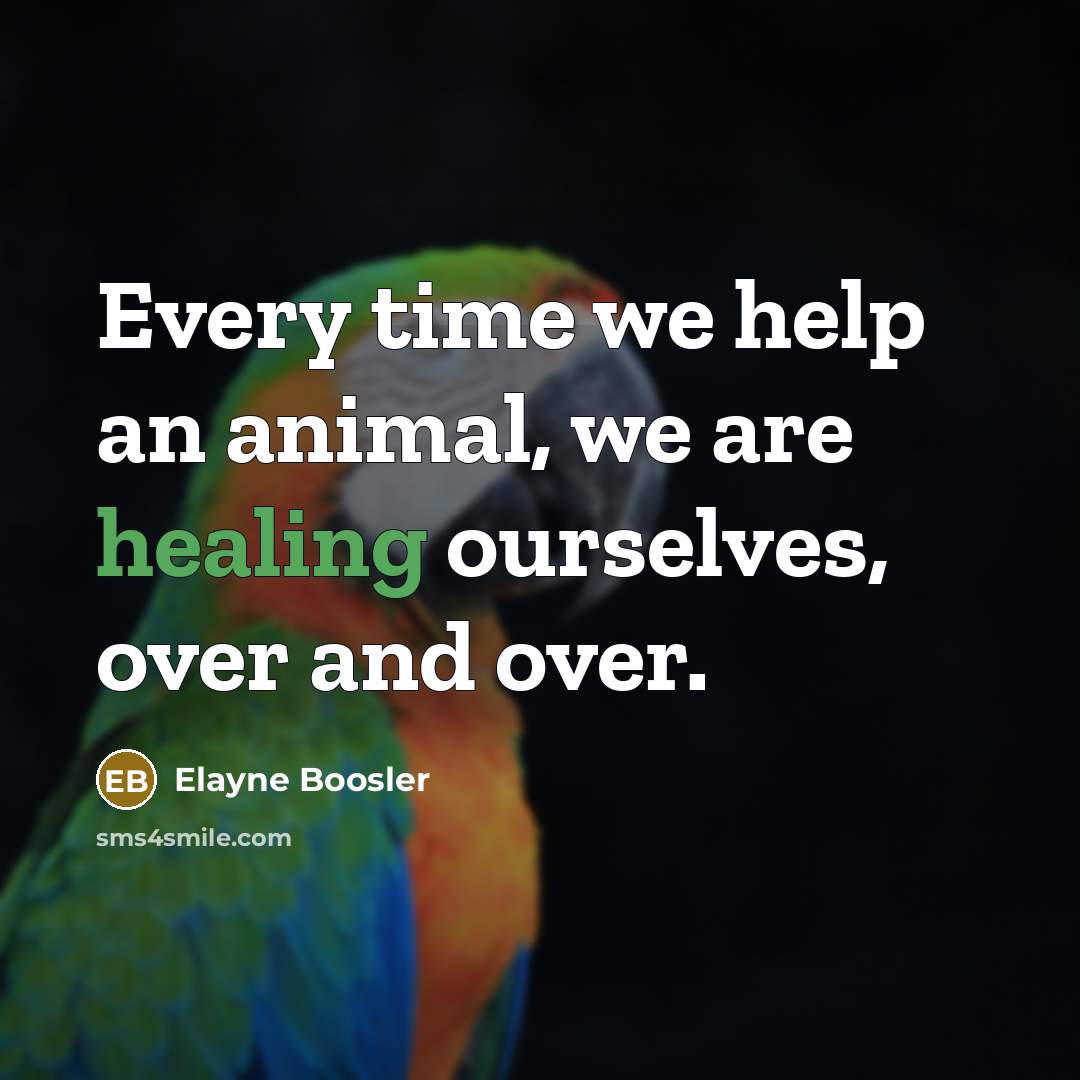 “Every time we help an animal, we are healing ourselves,…” quote by Elayne Boosler