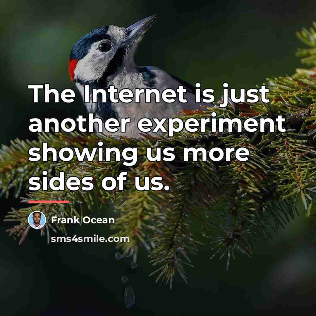 “The Internet is just another experiment showing us more sides…” quote by Frank Ocean