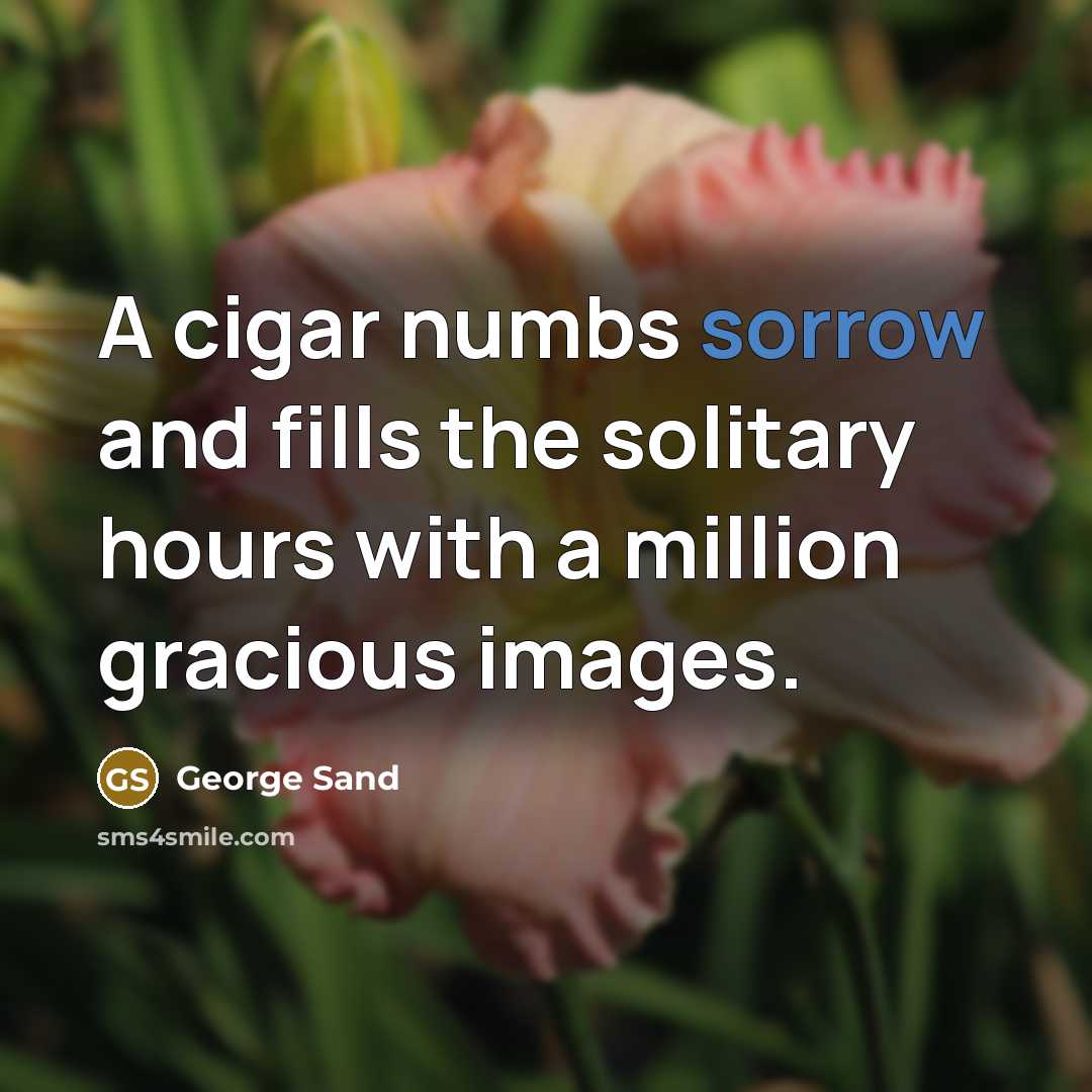 “A cigar numbs sorrow and fills the solitary hours with…” quote by George Sand