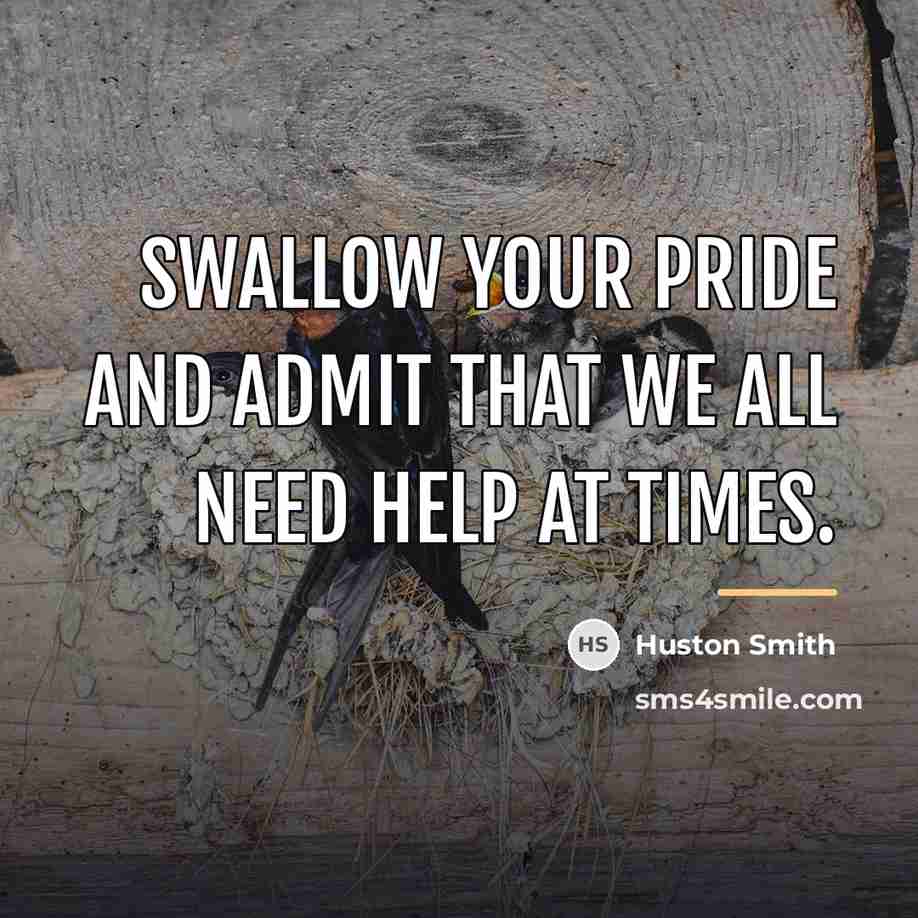“Swallow your pride and admit that we all need help…” quote by Huston Smith