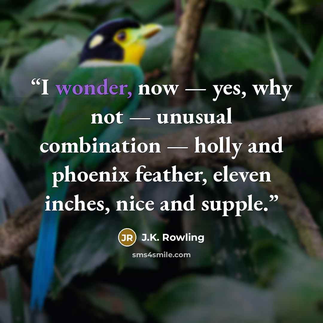 “I wonder, now — yes, why not — unusual combination — holly and phoenix feather, eleven inches, nice and supple.” quote by J.K. Rowling