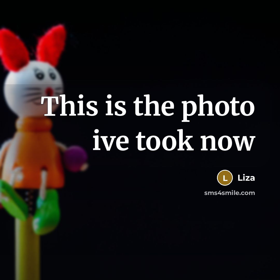 “This is the photo ive took now…” quote by Liza