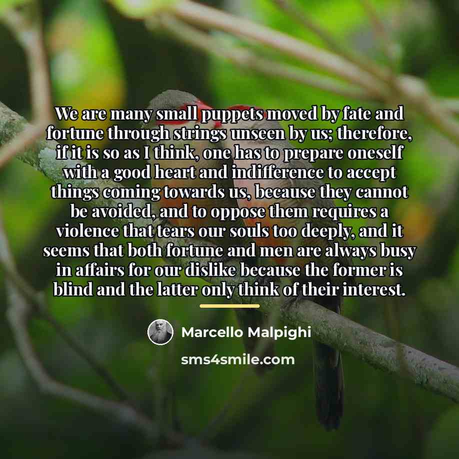 “We are many small puppets moved by fate and fortune…” quote by Marcello Malpighi