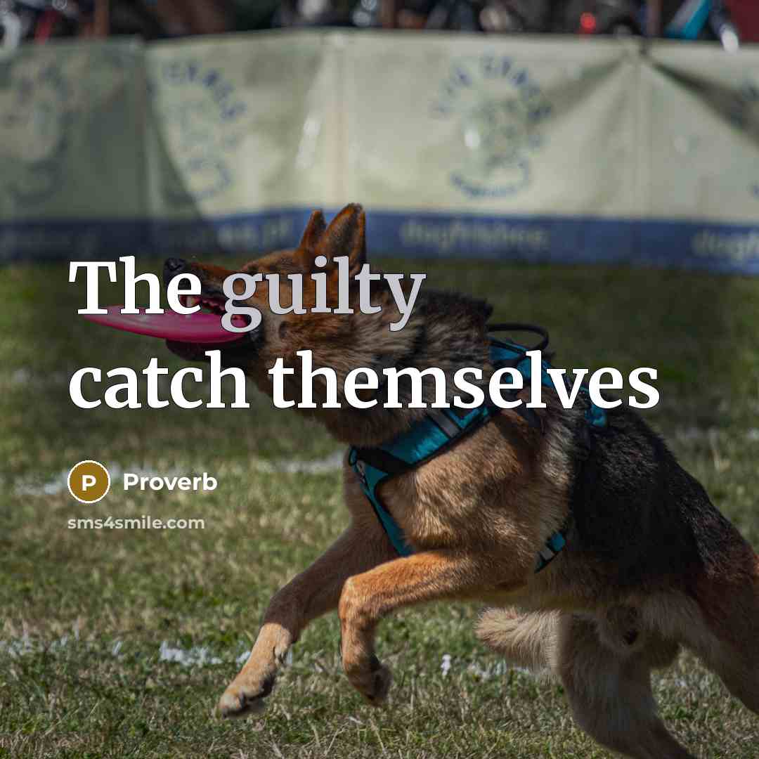 “The guilty catch themselves” quote by Proverb