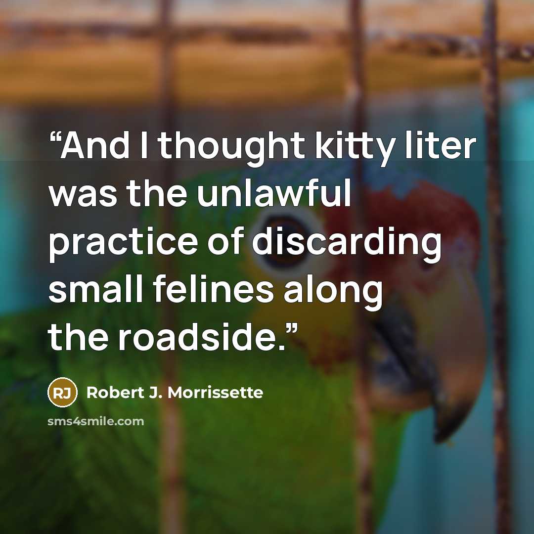 “And I thought kitty liter was the unlawful practice of discarding small felines along the roadside.” quote by Robert J. Morrissette