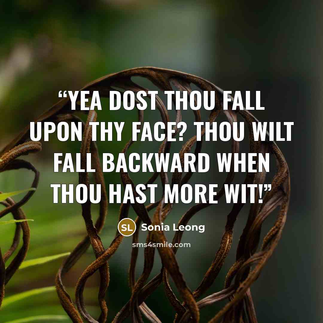 “yea dost thou fall upon thy face? thou wilt fall backward when thou hast more wit!” quote by Sonia Leong