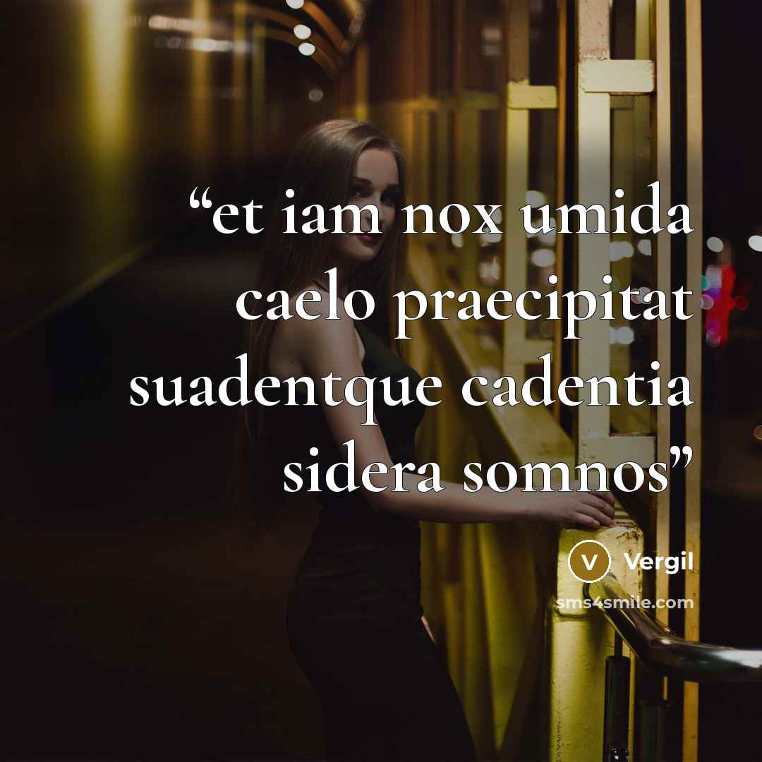 “et iam nox umida caelo praecipitat suadentque cadentia sidera somnos” quote by Vergil