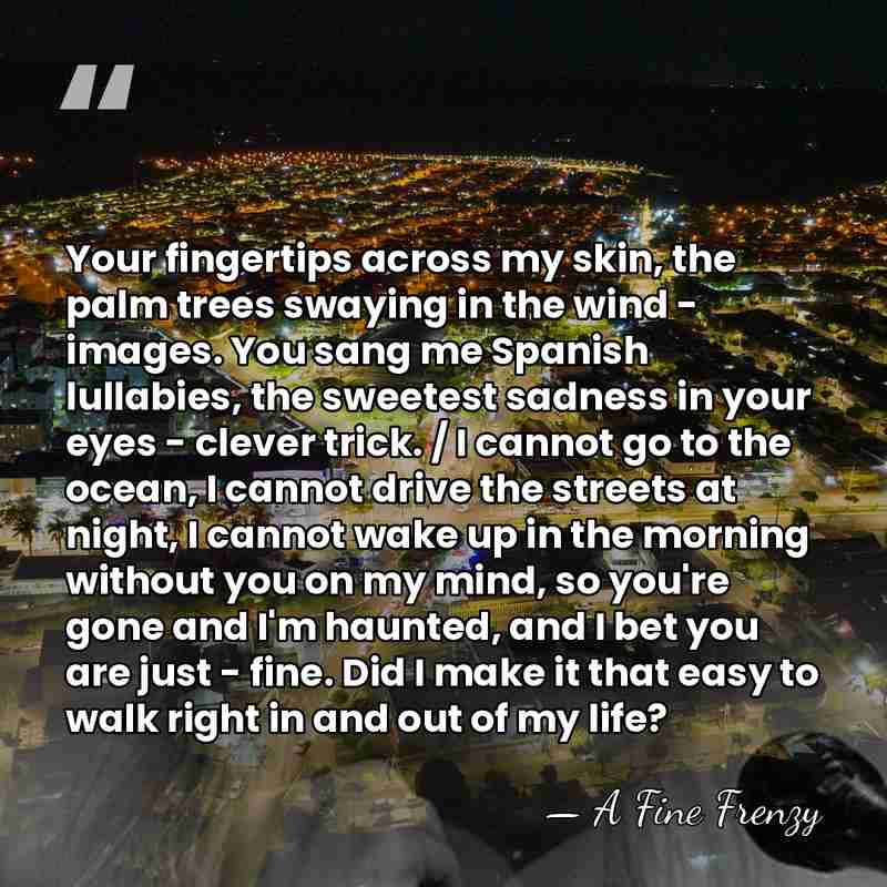 Your fingertips across my skin, the palm trees swaying in the wind&hellip; - A Fine Frenzy