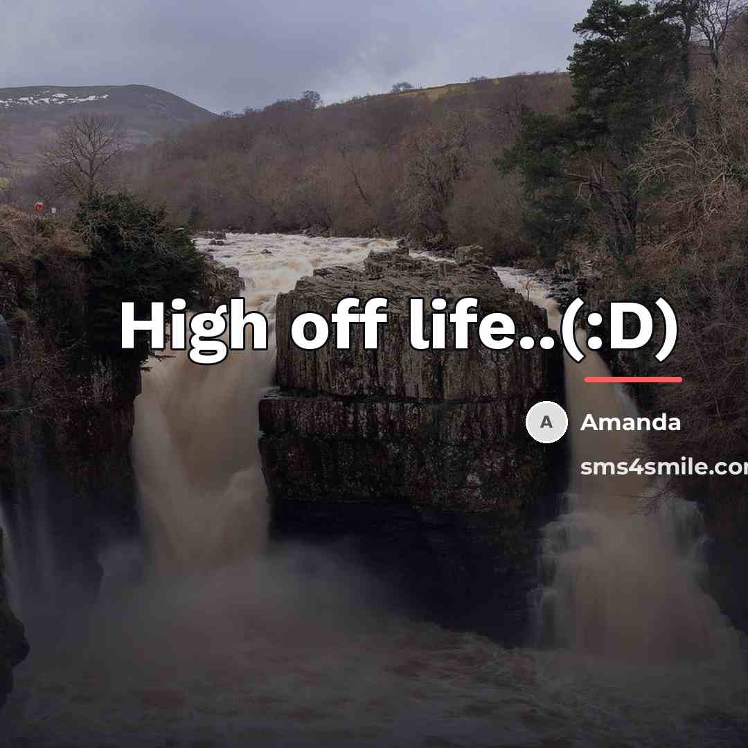 “High off life..(:D)…” quote by Amanda