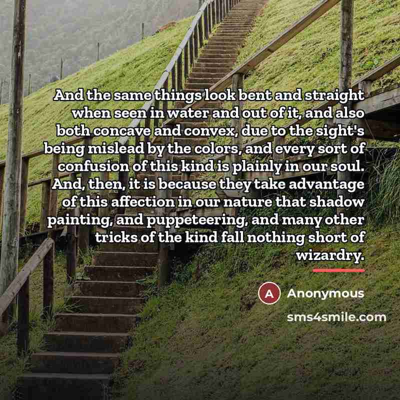 “And the same things look bent and straight when seen…” quote by Anonymous