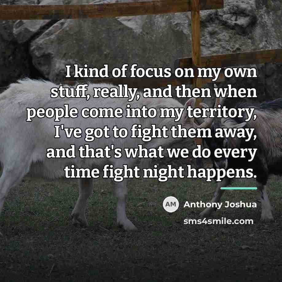 “I kind of focus on my own stuff, really, and…” quote by Anthony Joshua