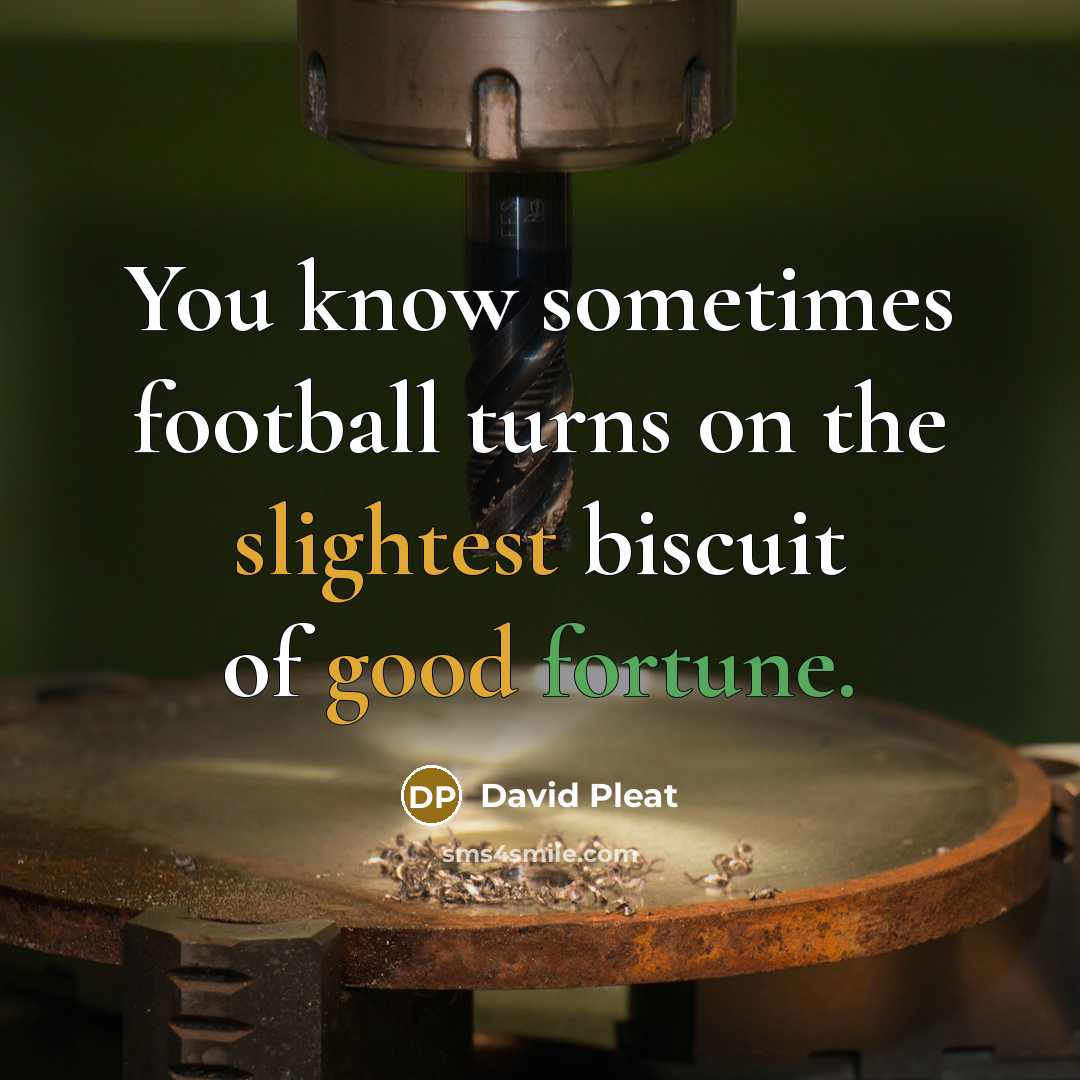 “You know sometimes football turns on the slightest biscuit of good fortune.” quote by David Pleat