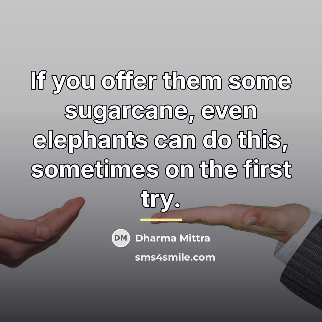 “If you offer them some sugarcane, even elephants can do…” quote by Dharma Mittra