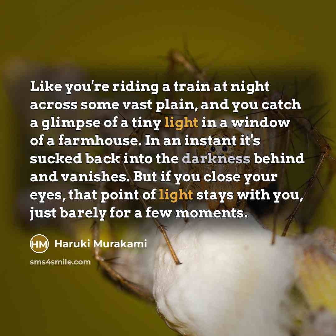 “Like you're riding a train at night across some vast…” quote by Haruki Murakami