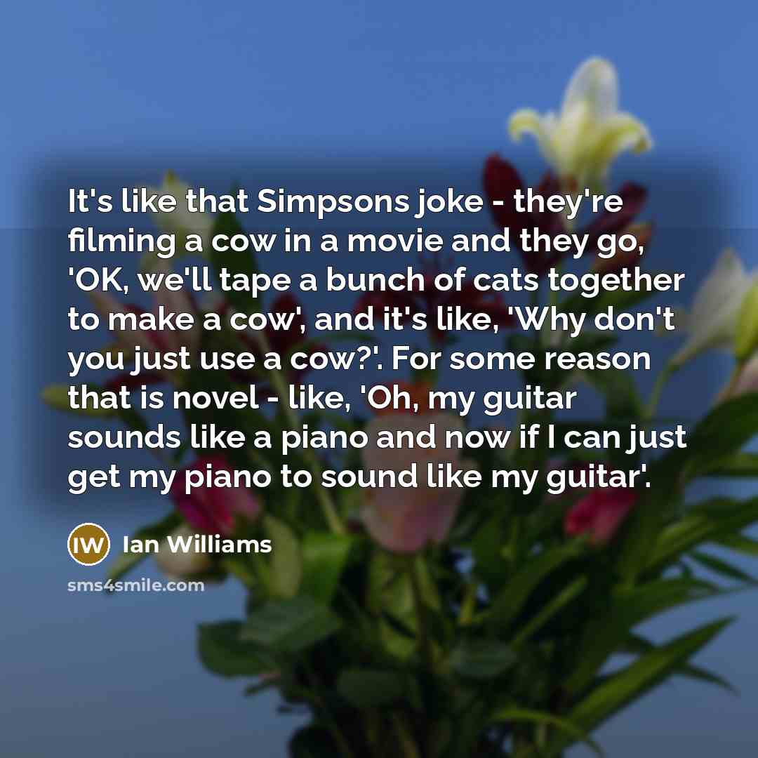 “It's like that Simpsons joke - they're filming a cow…” quote by Ian Williams