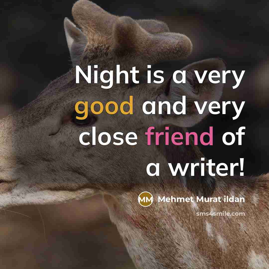 “Night is a very good and very close friend of…” quote by Mehmet Murat Ildan