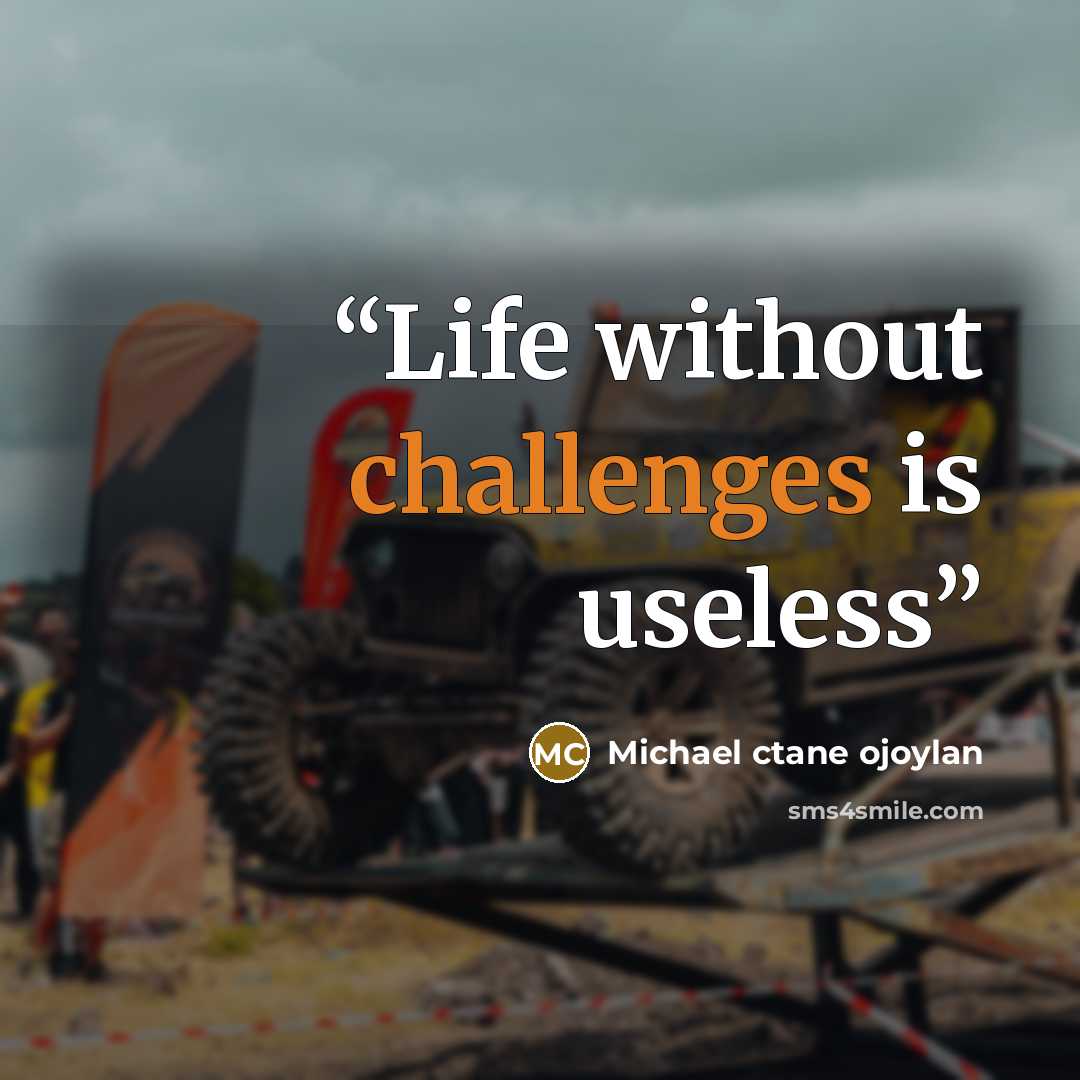 “Life without challenges is useless” quote by Michael ctane ojoylan