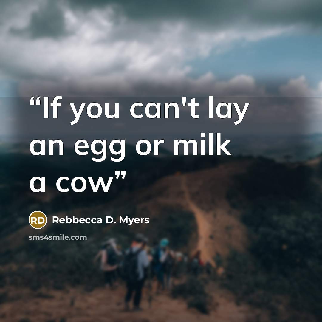 “If you can't lay an egg or milk a cow” quote by Rebbecca D. Myers