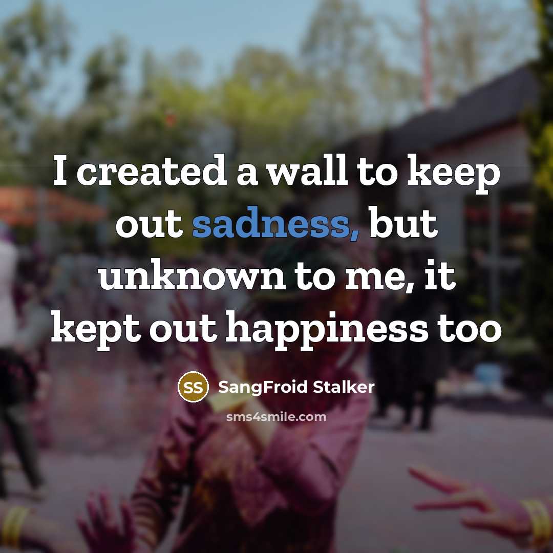 “I created a wall to keep out sadness, but unknown…” quote by SangFroid Stalker