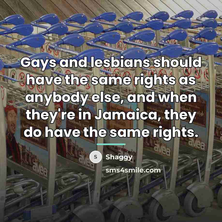 “Gays and lesbians should have the same rights as anybody…” quote by Shaggy