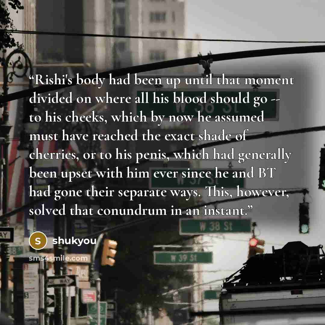 “Rishi's body had been up until that moment divided on where all his blood should go -- to his cheeks, which by now he assumed must have reached the exact shade of cherries, or to his penis, which had generally been upset with him ever since he and BT had gone their separate ways. This, however…” quote by shukyou