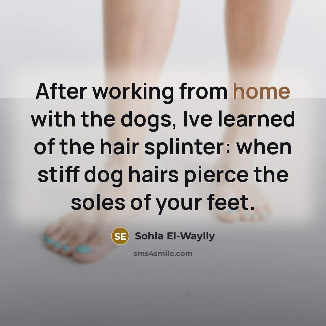 “After working from home with the dogs, Ive learned of…” quote by Sohla El-Waylly