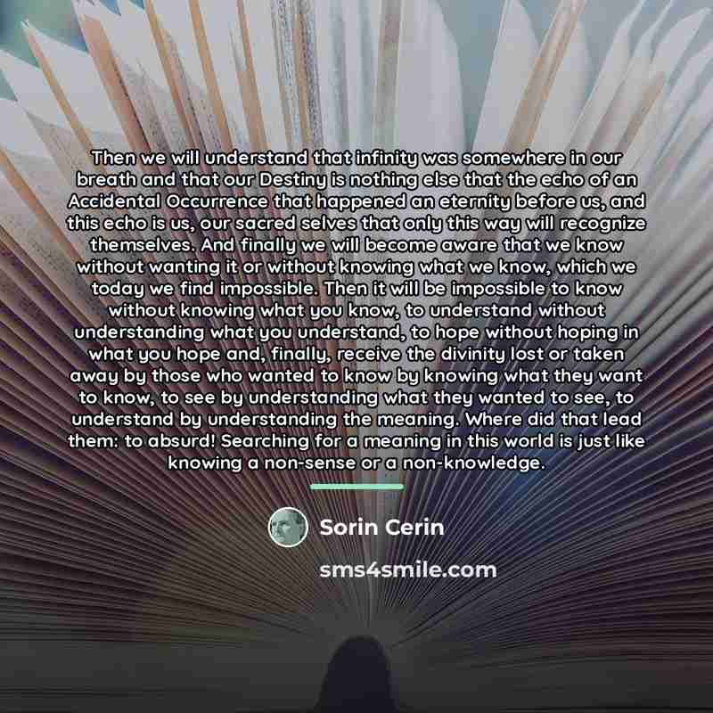 “Then we will understand that infinity was somewhere in our…” quote by Sorin Cerin